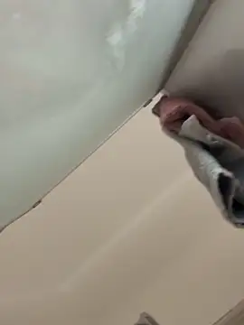 gatitalocahot online show from December 2025 08:04:01 PM