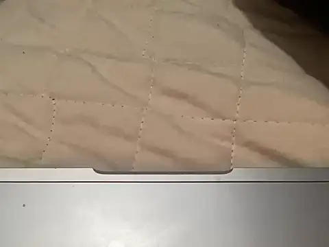 zorritaricapa69 online show from April 2026 05:55:02 AM