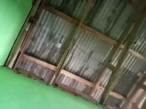 juniordotado87 online show from January 2026 11:45:02 AM