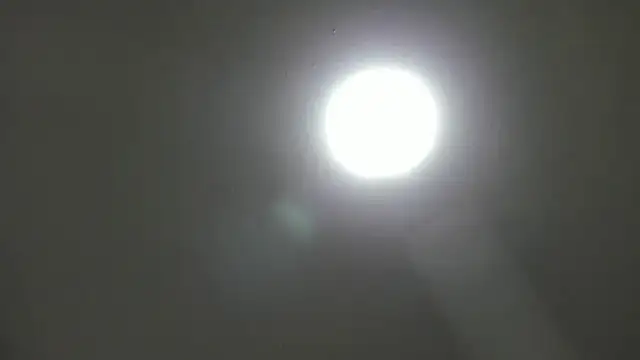  Asshley bensoon  online show from November 2025 02:39:02 PM