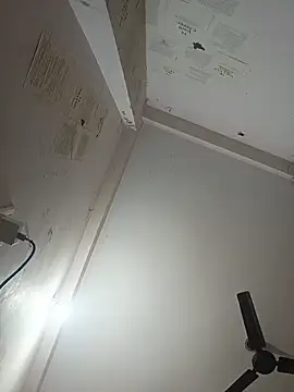 indoregigolo online show from October 2025 03:03:02 PM