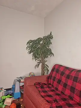 Snapshot of SweetieP11 chatting on November 2025 05:03:01 PM SweetieP11 online show from November 2025 05:03:01 PM