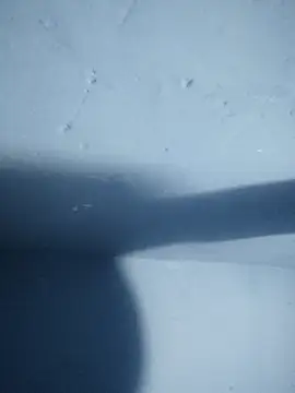 Snapshot of NeededCliff67 chatting on October 2025 05:14:01 PM NeededCliff67 online show from October 2025 05:14:01 PM