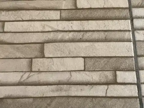  DignoDePutaria  online show from January 2026 02:43:02 PM