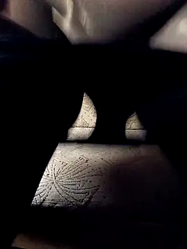 Snapshot of NyushaM chatting on October 2025 08:40:02 AM NyushaM online show from October 2025 08:40:02 AM