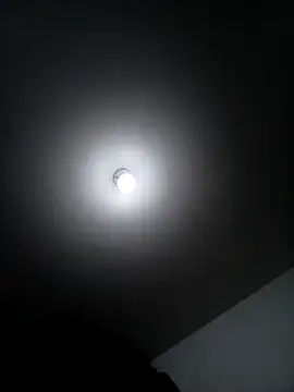 DecoyingCroaker online show from November 2025 02:57:02 AM