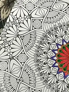 bigtelugubhama online show from November 2025 04:25:01 PM