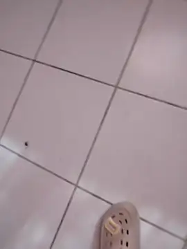 Snapshot of HomeyVending chatting on November 2025 04:18:02 PM HomeyVending online show from November 2025 04:18:02 PM