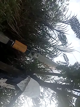 Snapshot of Camila-Valverde chatting on January 2026 08:51:02 PM Camila-Valverde online show from January 2026 08:51:02 PM