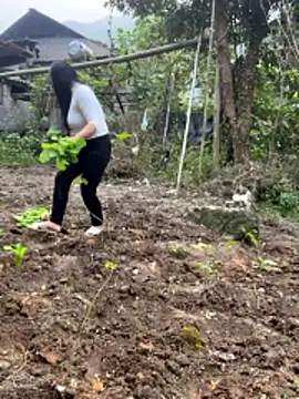 Snapshot of heodat-sexx chatting on December 2025 09:38:01 AM heodat-sexx online show from December 2025 09:38:01 AM