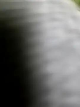 playboy210600 online show from February 2026 02:33:01 PM