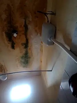 sabrinaneves online show from March 2026 12:16:01 PM