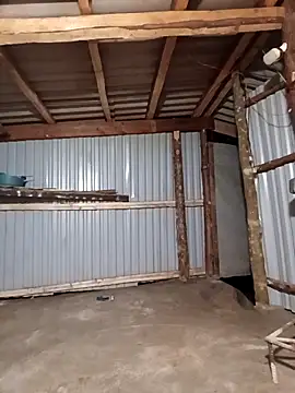 matbiec- online show from December 2025 11:50:02 AM