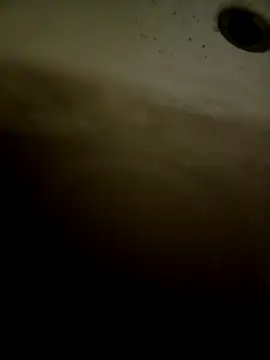 pino870 online show from February 2026 12:32:02 PM