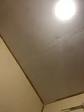 gatitaamelosa online show from April 2026 11:02:02 AM