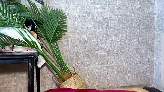 0xiaosu0 online show from December 2025 03:24:02 AM