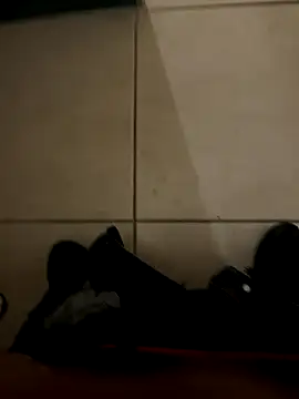 n0tf0und online show from November 2025 10:59:01 AM