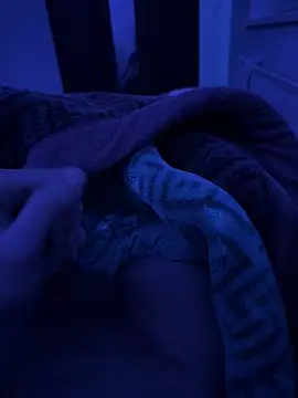 jafop098864 online show from March 2026 03:20:01 AM