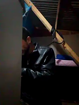 Arceusi online show from November 2025 06:47:02 AM