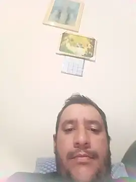 Willalmei online show from May 2026 11:55:02 PM