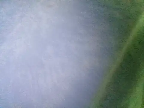 Snapshot of Ramzes1992Analog chatting on November 2025 01:05:01 AM Ramzes1992Analog online show from November 2025 01:05:01 AM