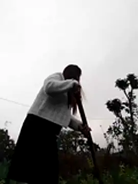 Qoine392 online show from December 2025 01:34:02 AM