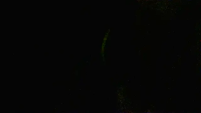 Snapshot of Zulreyna chatting on May 2026 04:52:01 AM Zulreyna online show from May 2026 04:52:01 AM