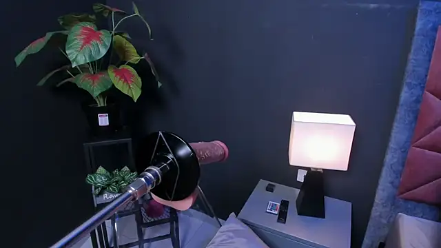 Amy whittee online show from March 2026 03:34:01 AM