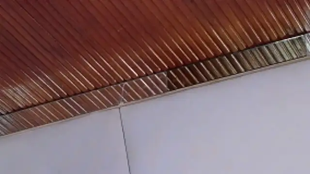 LannyShell online show from February 2026 05:23:02 PM