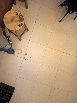 themorenofit08 online show from March 2026 12:49:02 AM