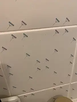 takekichi online show from March 2026 08:31:01 AM