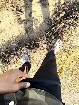 its  aaru online show from December 2025 04:54:01 AM