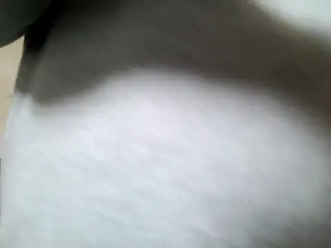 Snapshot of Olifesse chatting on May 2026 08:22:02 AM Olifesse online show from May 2026 08:22:02 AM