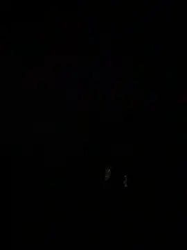 Santos229 online show from February 2026 03:49:02 AM