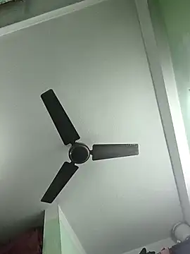 butterflydoll55sexolina online show from November 2025 09:31:01 AM