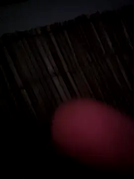 danellapass9090 online show from November 2025 06:18:02 PM