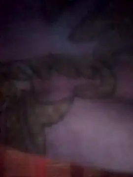 jacka 305 online show from November 2025 07:59:02 PM