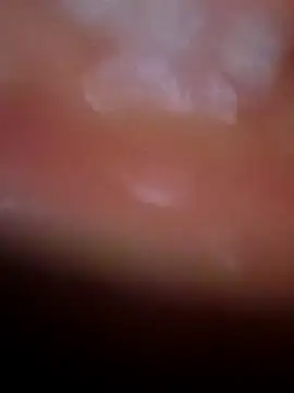 Nisha Hindi online show from November 2025 07:08:02 AM