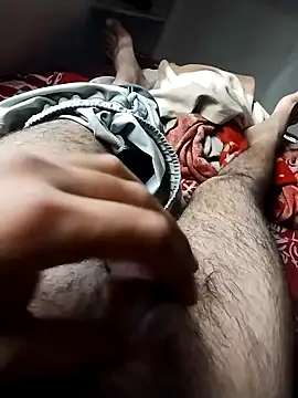 hyderabad single online show from January 2026 08:27:01 AM