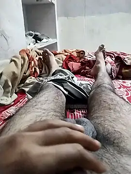 hyderabad single online show from January 2026 12:31:02 PM