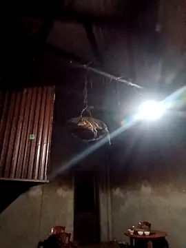 blonde blg online show from February 2026 10:38:02 PM