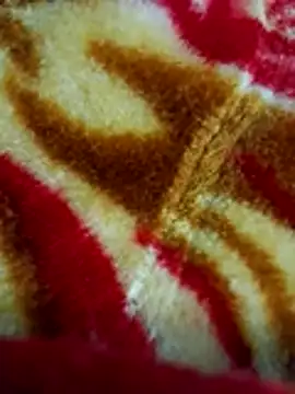 Snapshot of sangeeta_lodhi chatting on November 2025 06:10:01 PM sangeeta lodhi online show from November 2025 06:10:01 PM