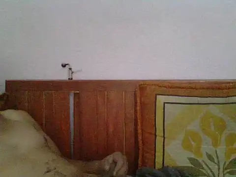 Snapshot of pareja4018 chatting on November 2025 04:50:02 AM pareja4018 online show from November 2025 04:50:02 AM