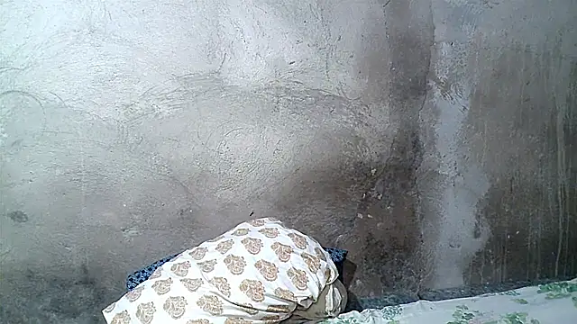 xwindyxxx online show from February 2026 06:42:02 AM