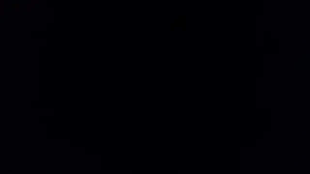 Brandy collinss online show from February 2026 11:46:02 AM