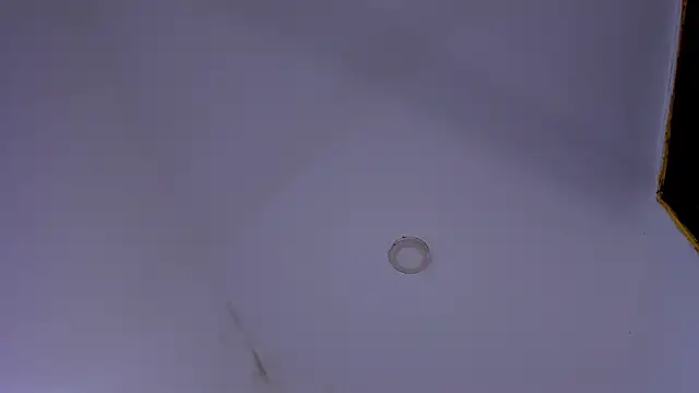 tiven-prince online show from January 2026 07:48:02 PM