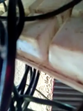 Snapshot of Neelurajpoot122 chatting on November 2025 08:08:02 AM Neelurajpoot122 online show from November 2025 08:08:02 AM