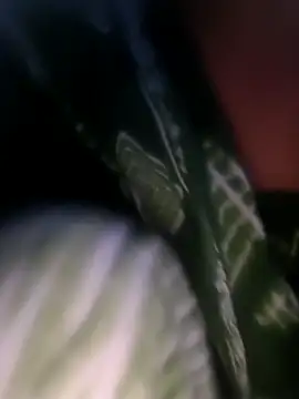 Snapshot of Ananya_cam chatting on November 2025 06:00:02 AM Ananya cam online show from November 2025 06:00:02 AM