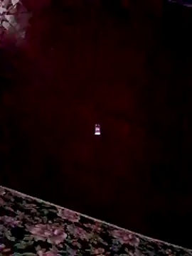 RomiTreats online show from November 2025 11:33:02 AM