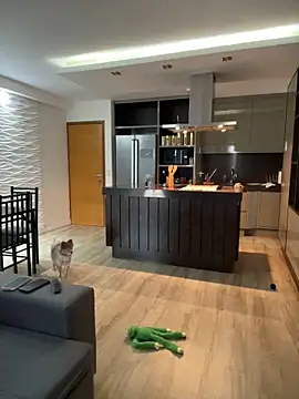 BelleRune online show from January 2025 07:43:01 PM